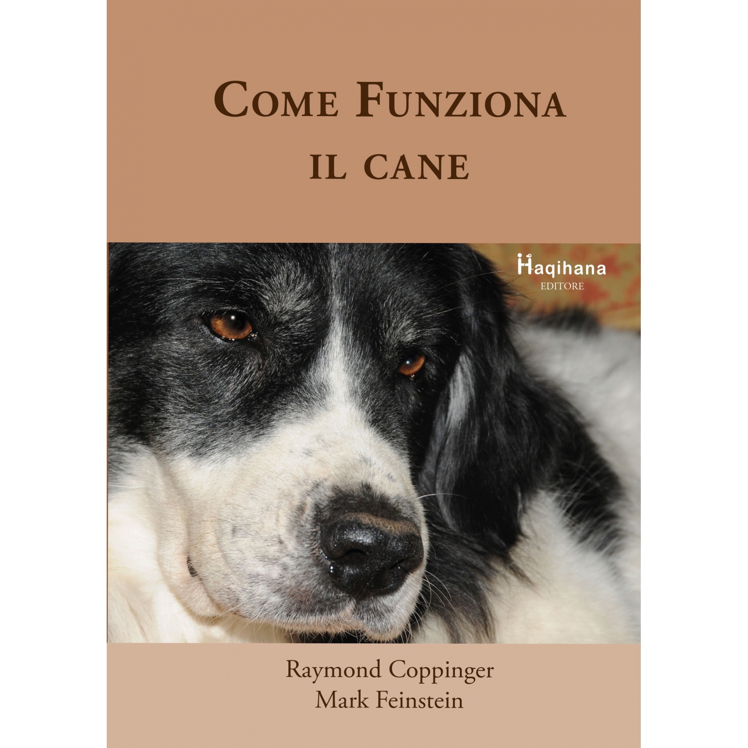 Come funziona il Cane (ITALIAN ONLY)
