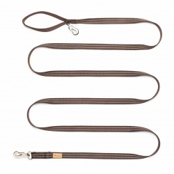 Leash Chocolate High Visibility