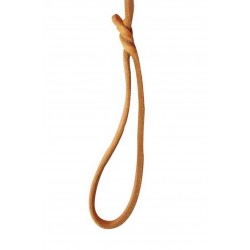 Leather Leash Natural