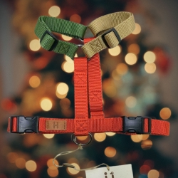 Christmas Harness 2023 - limited edition