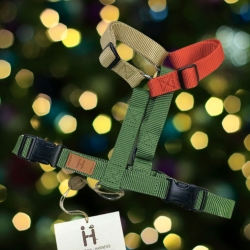 Christmas Harness 2023 - limited edition