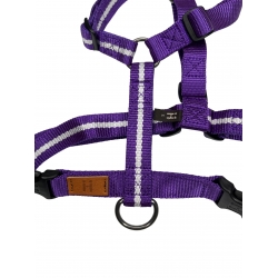 Harness Florence