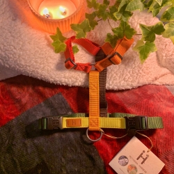 Harness Fall limited edition 2023