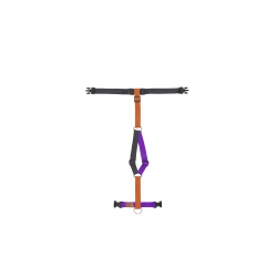 Halloween Harness limited edition 2023