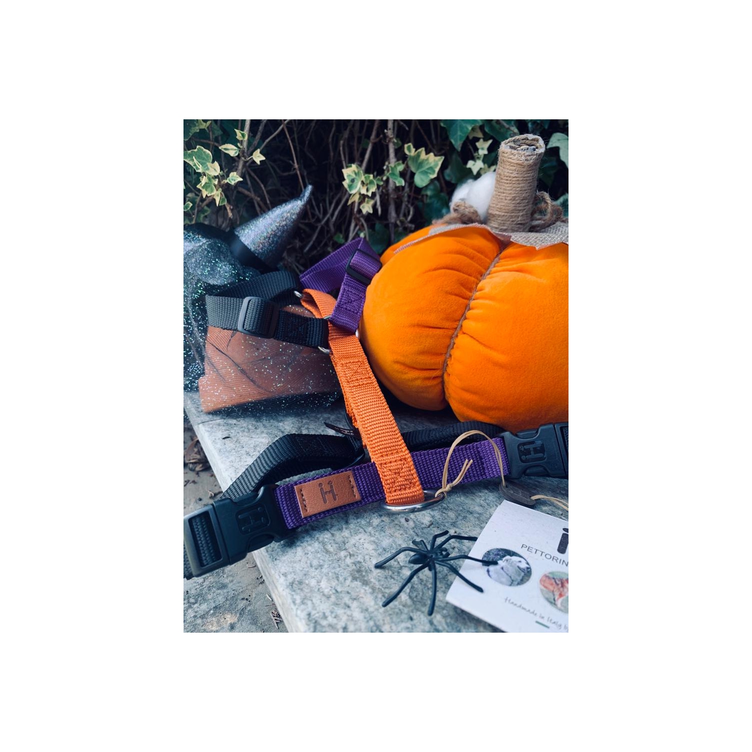 Halloween Harness limited edition 2023