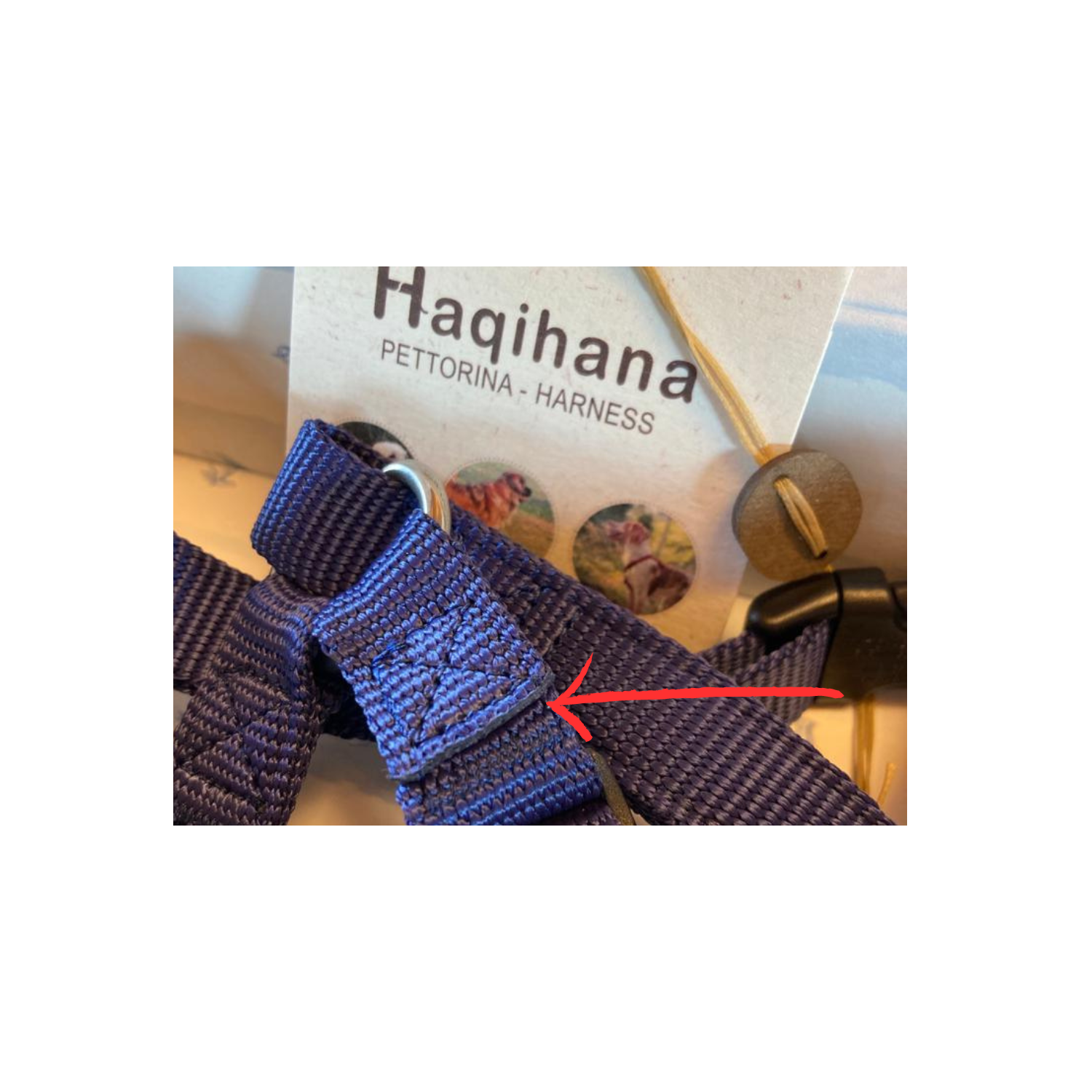 Blue Harness - Size S- Stitching defect