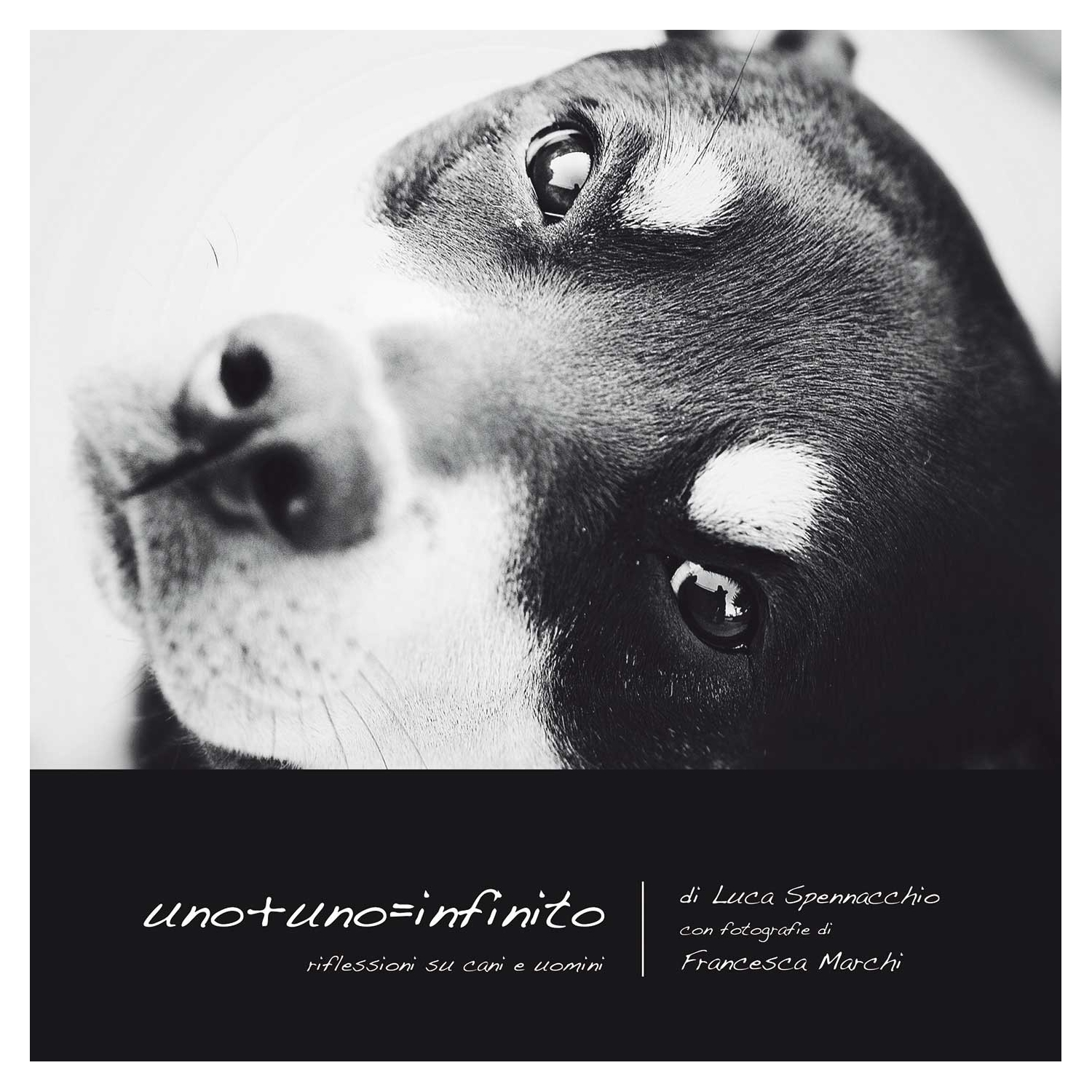 Uno più Uno uguale Infinito (ITALIAN ONLY)