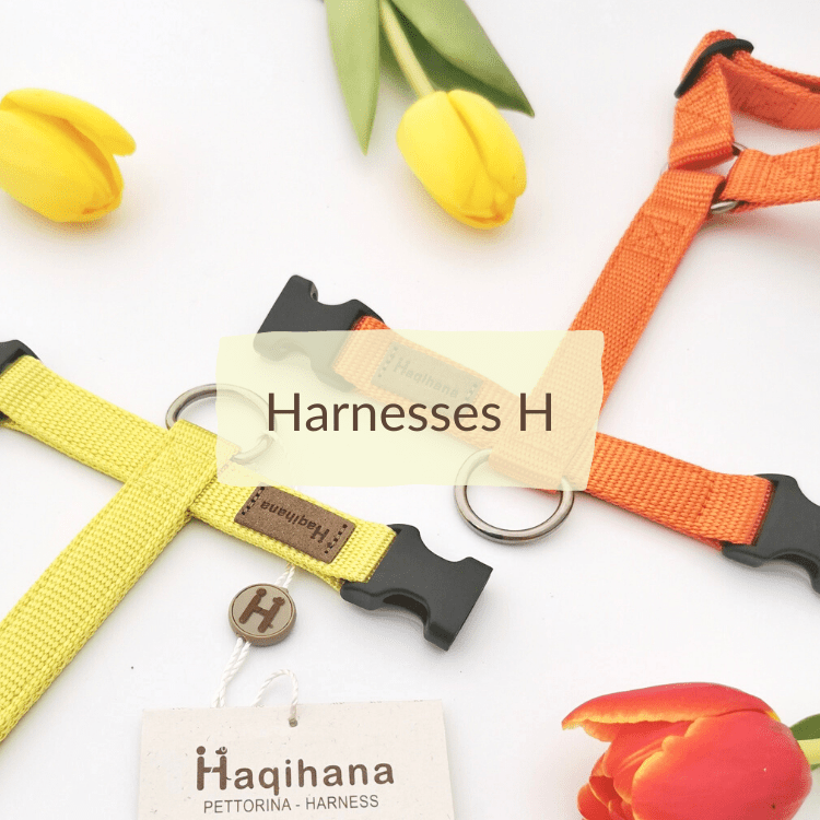Harnesses_H