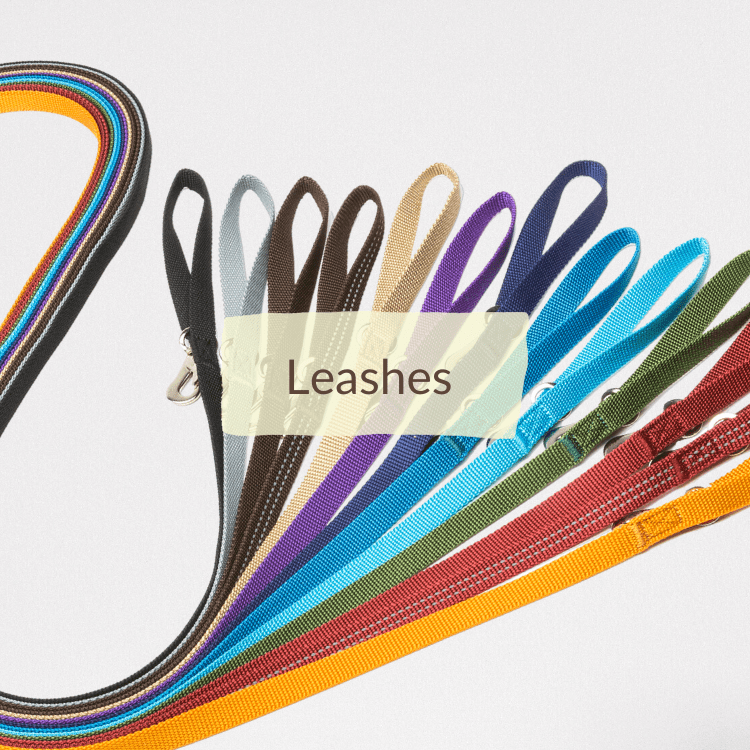 leashes